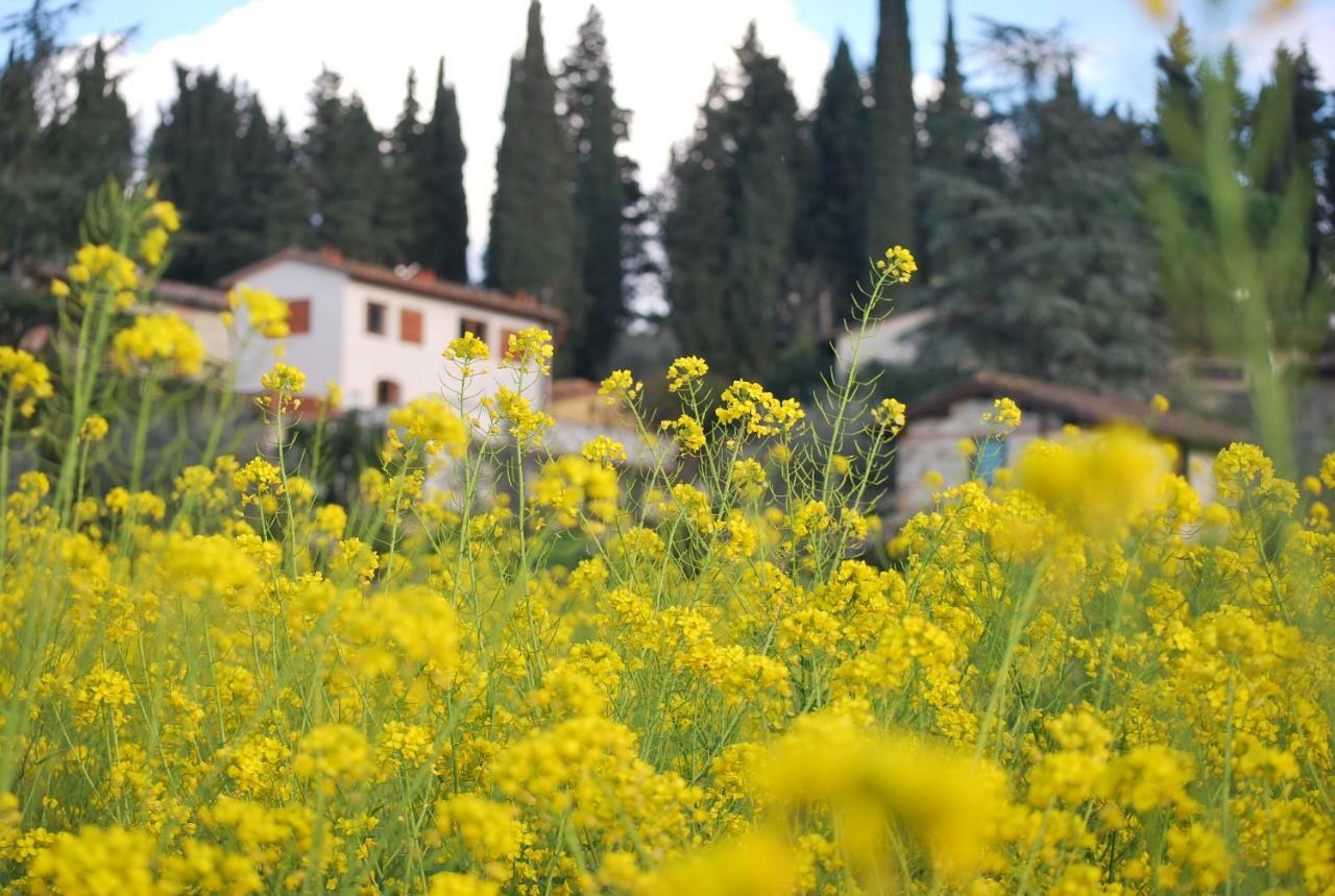 Appartamento Giulio Villamagna  Dış mekan fotoğraf